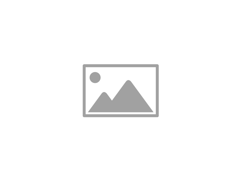 v1