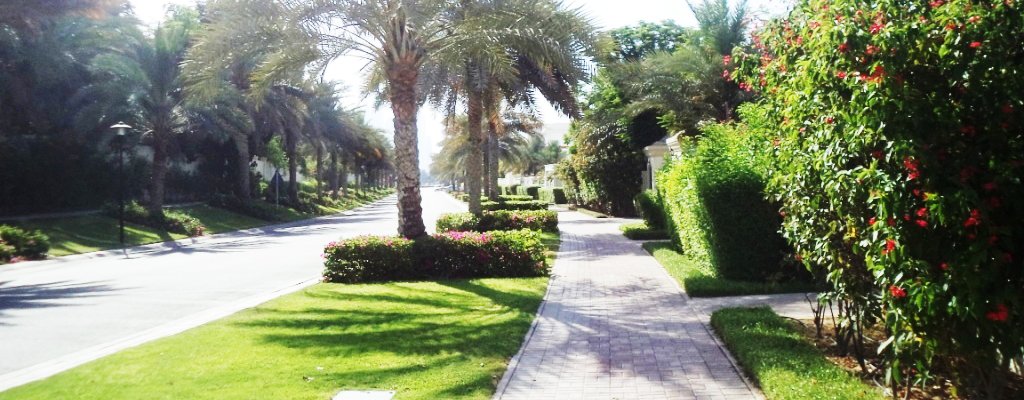 soft and hard lanscaping services dubai